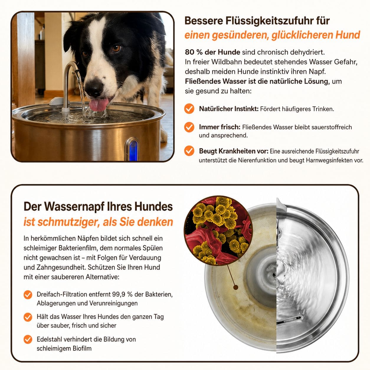VitalFlow Trinkbrunnen