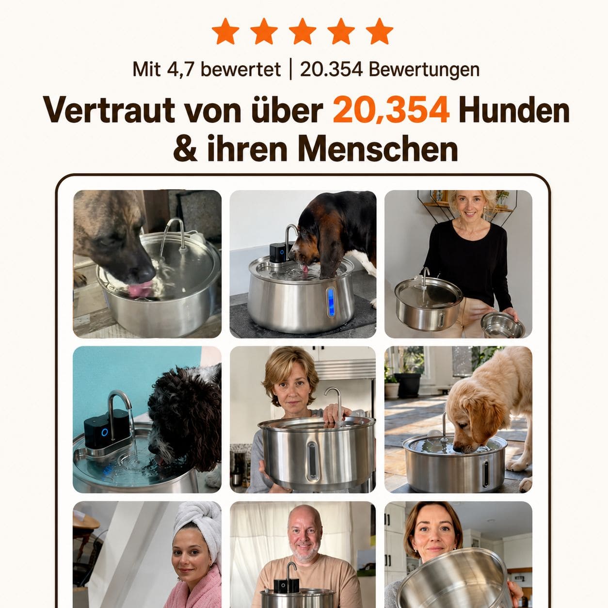 VitalFlow Trinkbrunnen