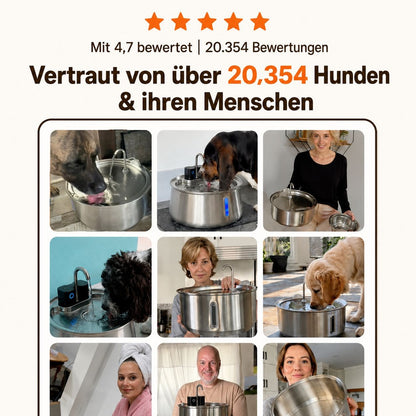 VitalFlow Trinkbrunnen