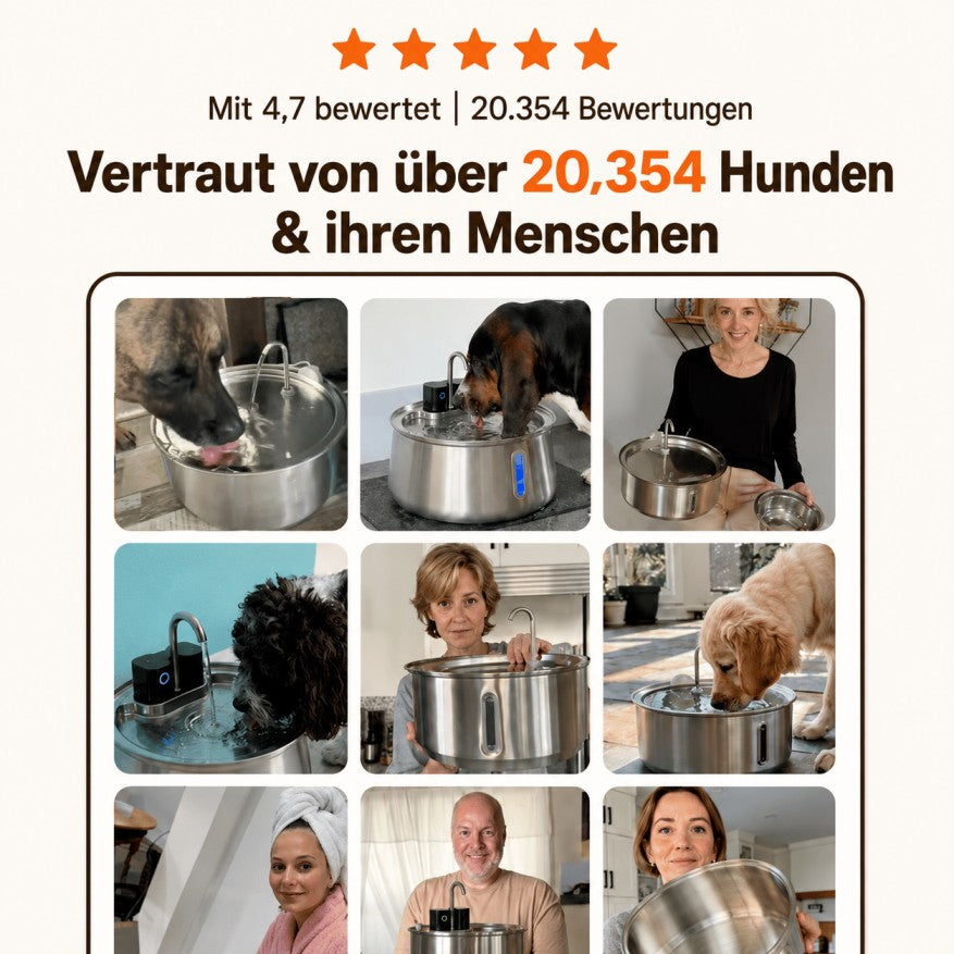 VitalFlow™ Trinkbrunnen